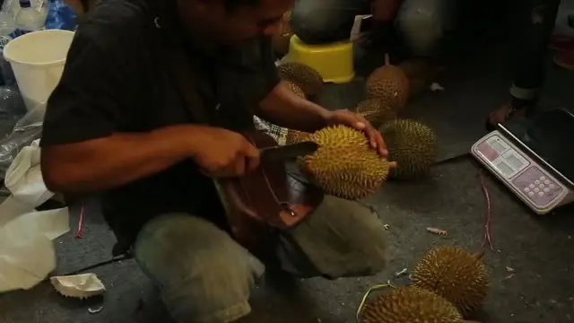 Menikmati Berbagai Jenis Durian Bersama Keluarga