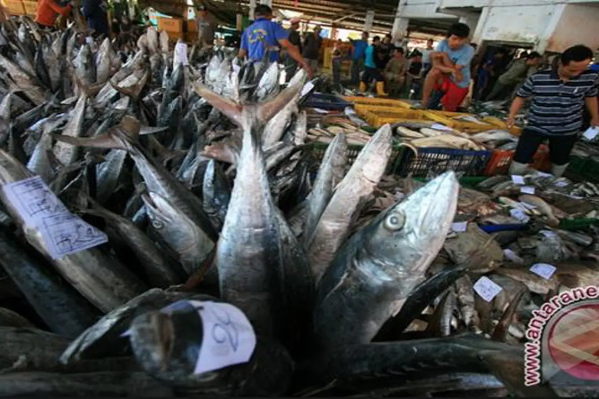 Faktor Cuaca Bikin Harga Ikan Melonjak