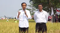 Mentan Arman dan Presiden Jokowi menemukan fakta bahwa Padi yang dihasilkan di musim kemarau di Sukoharjo memiliki kualitas lebih baik