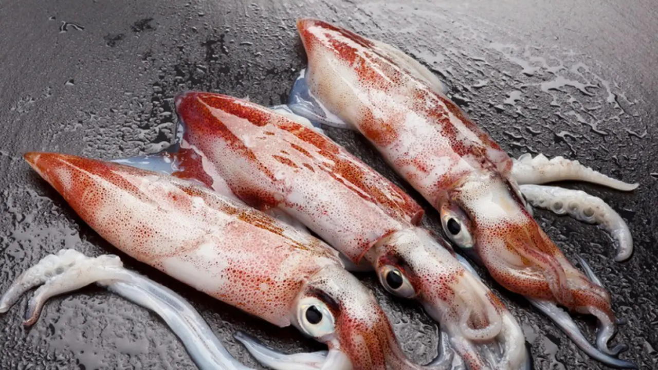 Makan Cumi Mentah, Mulut Lansia Dipenuhi Sperma Hewan