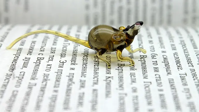 Pria Asal Ukraina Ini Jago Buat Apapun dari Kaca