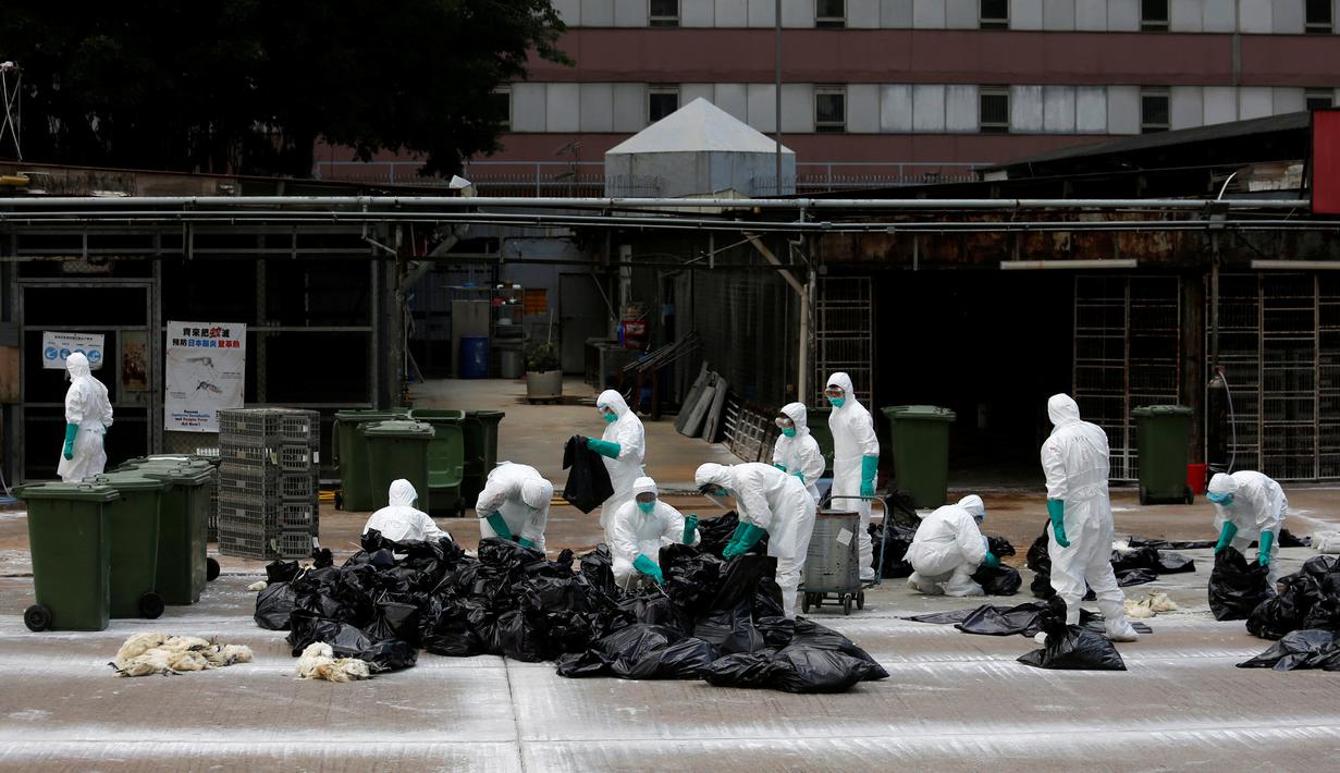 Petugas kesehatan menyisihkan unggas ke tempat sampah di sebuah pasar di Hong Kong, (7/6).  Pihak berwenang memutuskan untuk menangguhkan perdagangan unggas hidup setelah pemeriksaan menunjukkan adanya virus flu burung H7N9. (REUTERS/Bobby Yip)