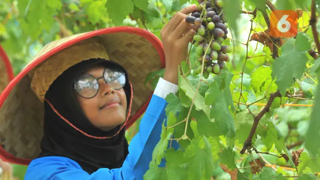Desa Batulicin Irigasi Tanbu Kalsel
