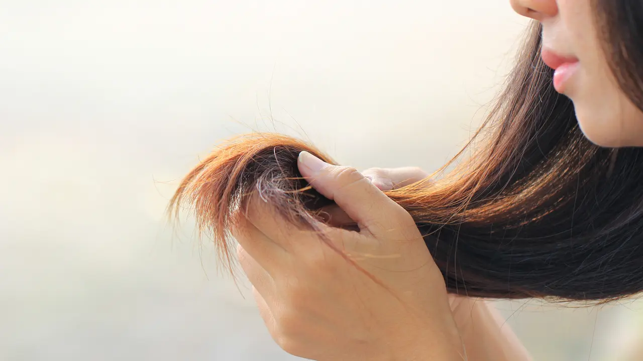 Rambut bercabang