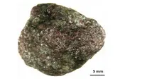 Sebuah batu unik berukuran 5 milimeter menyimpan sekitar 30 ribu potongan berlian di dalamnya (Foto: http://www.washingtonpost.com/)