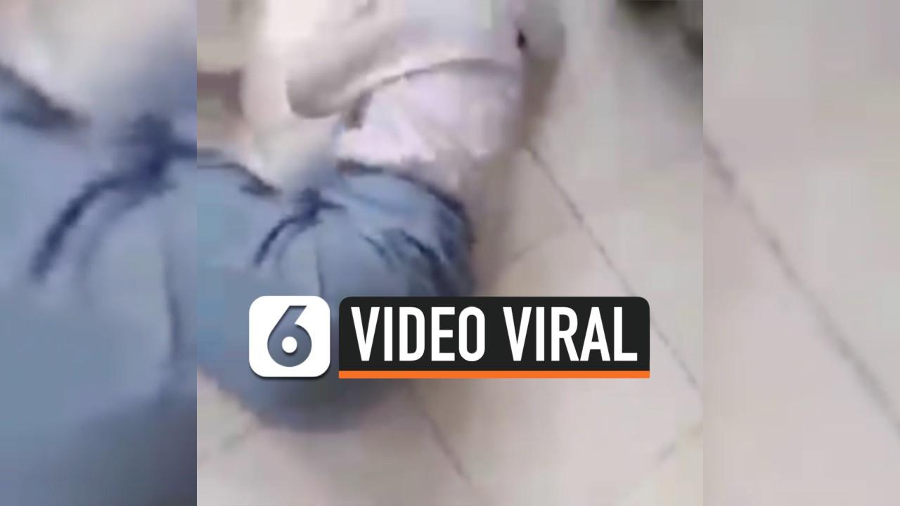 VIDEO: Viral, Siswi SMK Digerayangi Temannya di Bolaang Mongondow