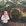 Cinthya Septavy