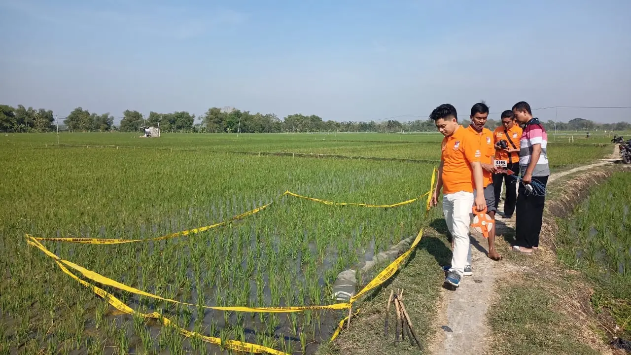 Petani Tewas