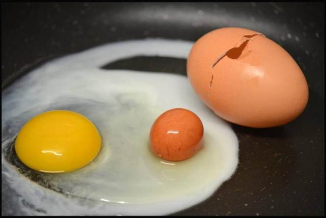 Telur di dalam telur | Photo: Copyright metro.co.uk 