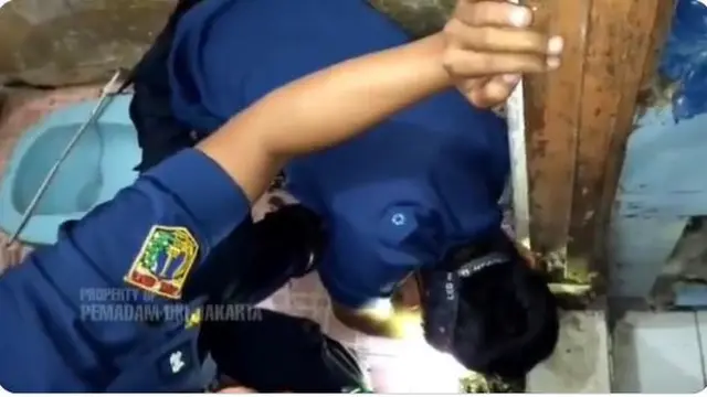 Jatuh ke Saluran Pembuangan, Petugas Damkar Bantu Evakuasi Gigi Palsu yang Copot
