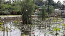 Warga berjalan-jalan di kawasan Taman Piknik, Jakarta, Minggu (20/1). Taman seluas 1 hektar di Jalan Manunggal II, Cipinang Melayu, Jakarta Timur ini menjadi salah satu taman baru milik Pemprov DKI Jakarta untuk warga. (Liputan6.com/Helmi Fithriansyah)