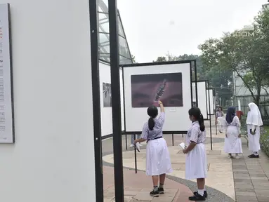 Siswa SD Negeri Menteng 01 mengamati karya foto yang dipamerkan dalam pameran fotografi Rekam Jakarta di Taman Menteng, Kamis (29/8/2019). Kegiatan tersebut dalam rangka edukasi bagi siswa mengenal profesi foto jurnalistik. (merdeka.com/Iqbal S Nugroho)