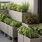 Desain Kebun Mini Rumah Modern dengan Planter Box Beton. Foto: Gemini
