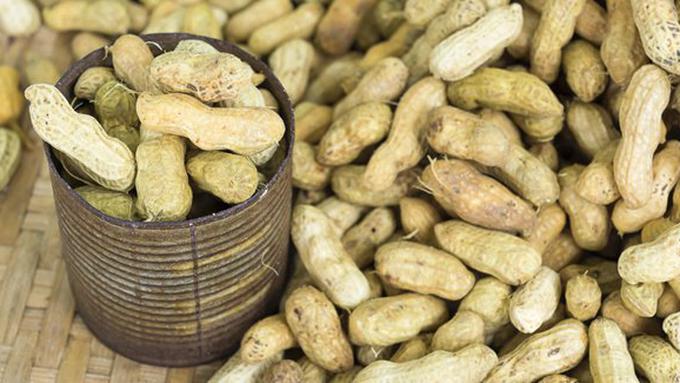 Cara Menggunakan Mesin Pengupas Kulit Ari Kacang Tanah