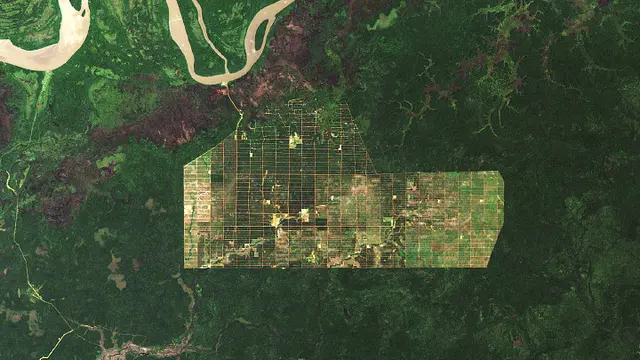 Foto deforestasi di Papua (NASA, USGS, University of Maryland)