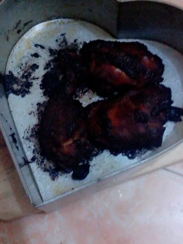 6 Momen Apes Masak Ayam Sampai Gosong Ini Bikin Enggak Napsu Makan