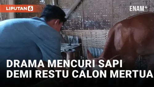 VIDEO: Kecewa Cinta Ditolak, Pemuda di Jember Curi Sapi Milik Calon Mertua