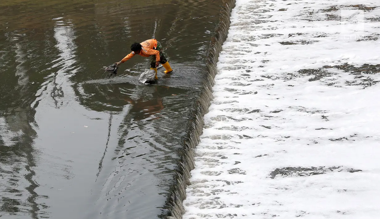 Petugas mengumpulkan membersihkan sampah yang mengendap di Kanal Banjir Timur, Jakarta, Selasa (19/9). Dikhawatirkan, air yang tercemar limbah itu akan membuat ikan-ikan yang ada dialiran air KBT akan mati. (Liputan6.com/Immanuel Antonius)
