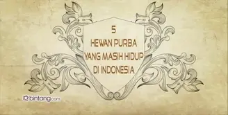 5 Hewan Purba yang Masih Hidup di Indonesia