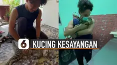 Nampak pria tersebut menangis dan mengelus-elus kucingnya.