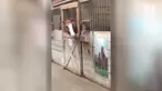 Seekor kuda punya cara jenius saata kabur dari kandangnya sendiri.