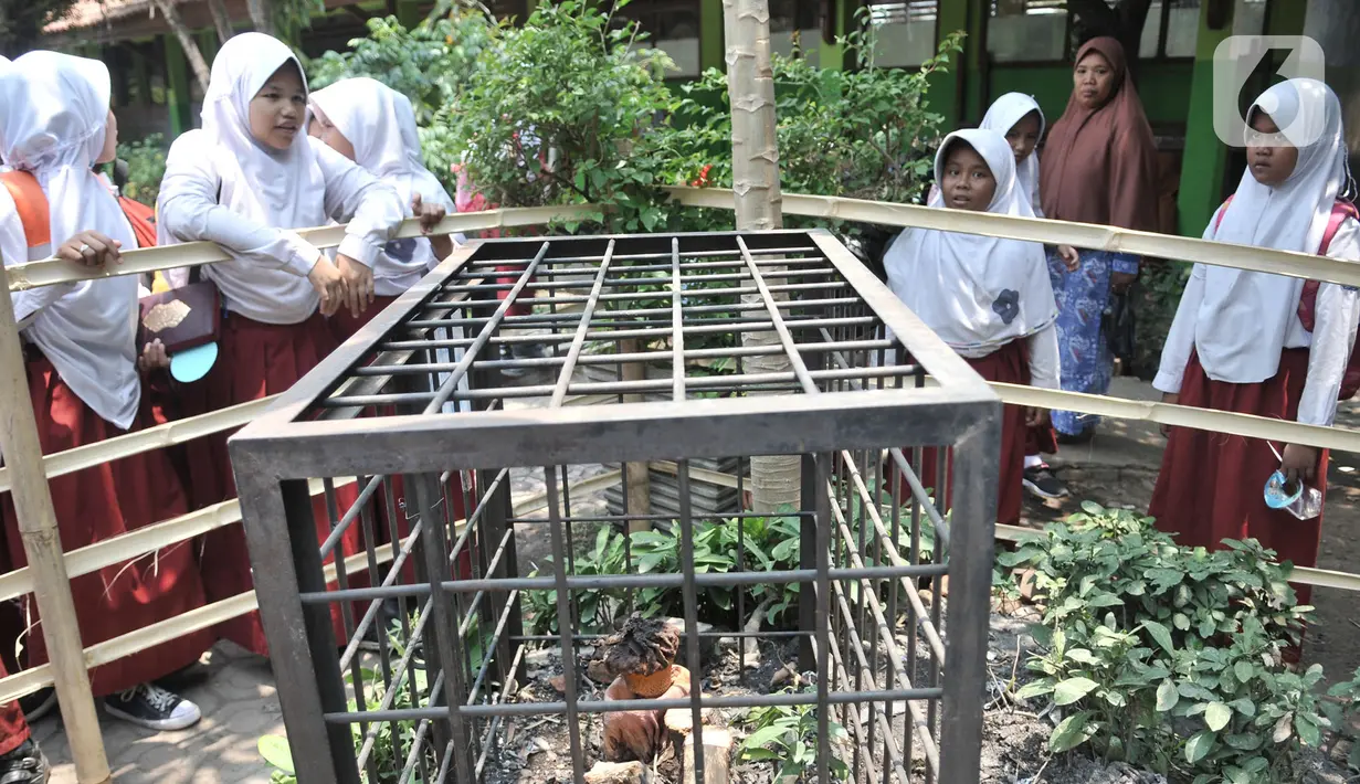 Siswa mengamati bunga bangkai jenis Amorphophallus Paeoniifolius di halaman SDN Kayuringin Jaya II, Bekasi, Jawa Barat, Selasa (8/10/2019). Bunga bangkai dengan tinggi 30 cm tersebut menjadi perhatian siswa dan warga sekitar karena baru pertama kali terjadi. (merdeka.com/Iqbal Nugroho)