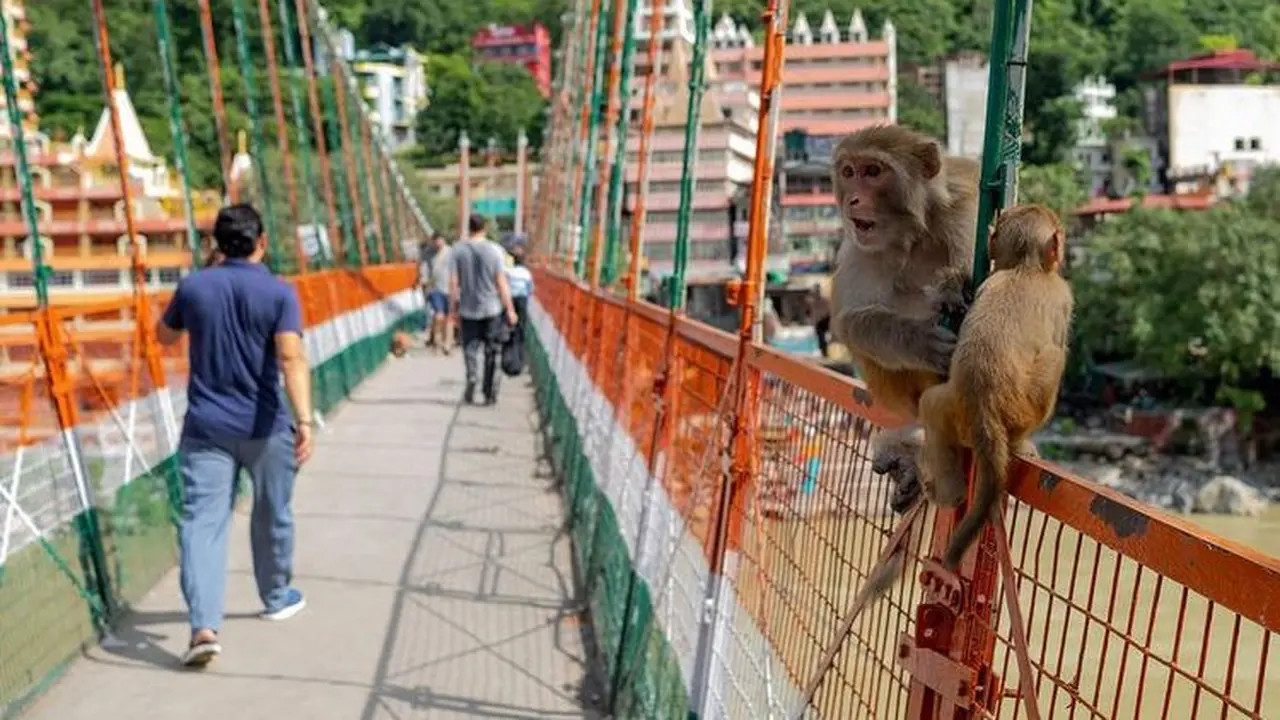 Lakshman Jhula