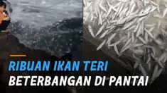 Fenomena yang jarang terjadi itu muncul di siang dan malam hari.