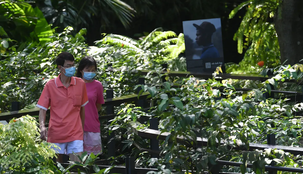 Orang-orang mengenakan masker saat berjalan-jalan di Singapore Botanic Gardens, Singapura, pada 18 November 2020. (Xinhua/Then Chih Wey)