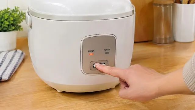Memasak Nasi Mentega di Rice Cooker