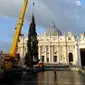 Pekerja menggunakan alat berat untuk mendirikan pohon Natal raksasa di Lapangan Santo Petrus, Vatikan, Kamis (22/11). Pohon cemara yang didatangkan dari Hutan Consiglio di Italia ini tingginya mencapai 23 meter. (AP/Andrew Medichini)