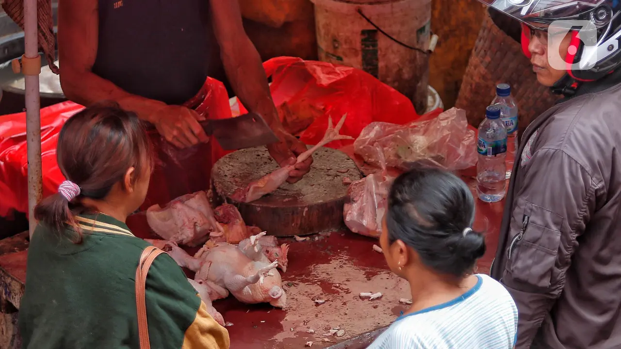 Harga Ayam Potong