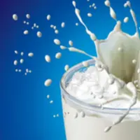 Bukan hanya bisa menguatkan tulang, ternyata susu juga memiliki banyak khasiat!