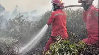 Tim Satgas Ungkap Kendala Padamkan Kebakaran Hutan di Jambi
