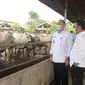 Mentan Syahrul Yasin Limpo meninjau PT Tanjung Unggul Mandiri sebagai fedloter dan stok daging beku PT Indoguna Utama di kabupaten Tangerang Provinsi Banten, Rabu (3/3/2021). Dok Kementan