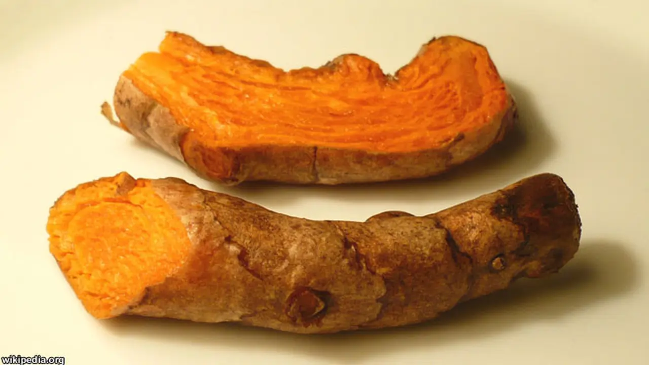turmercroot-131108b.jpg