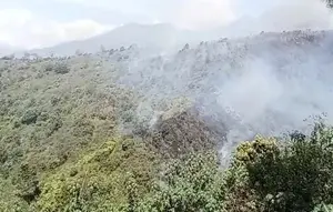 Gunung Bromo Kembali Terbakar, Pemadaman Terkendala Medan Terjal