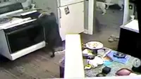 Curi Pizza, Anjing 'Rakus' Nyaris Bakar Rumah