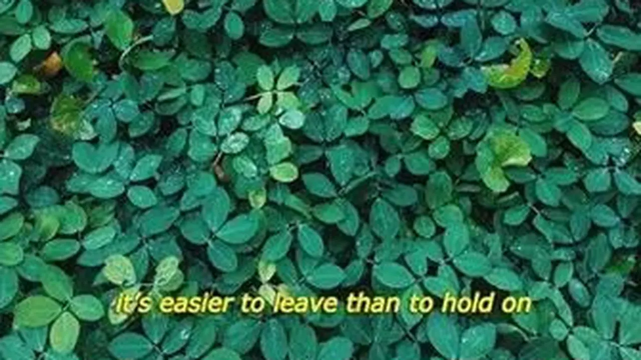 Cara Edit Foto ala Subtitle Film yang Estetik