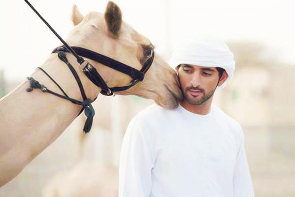 Foto: copyright stomp.com.sg