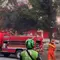 Kronologi Kabel Terbakar hingga Merambat ke Pohon di Cinere Depok
