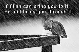 Photo copyright prophetpbuh.com