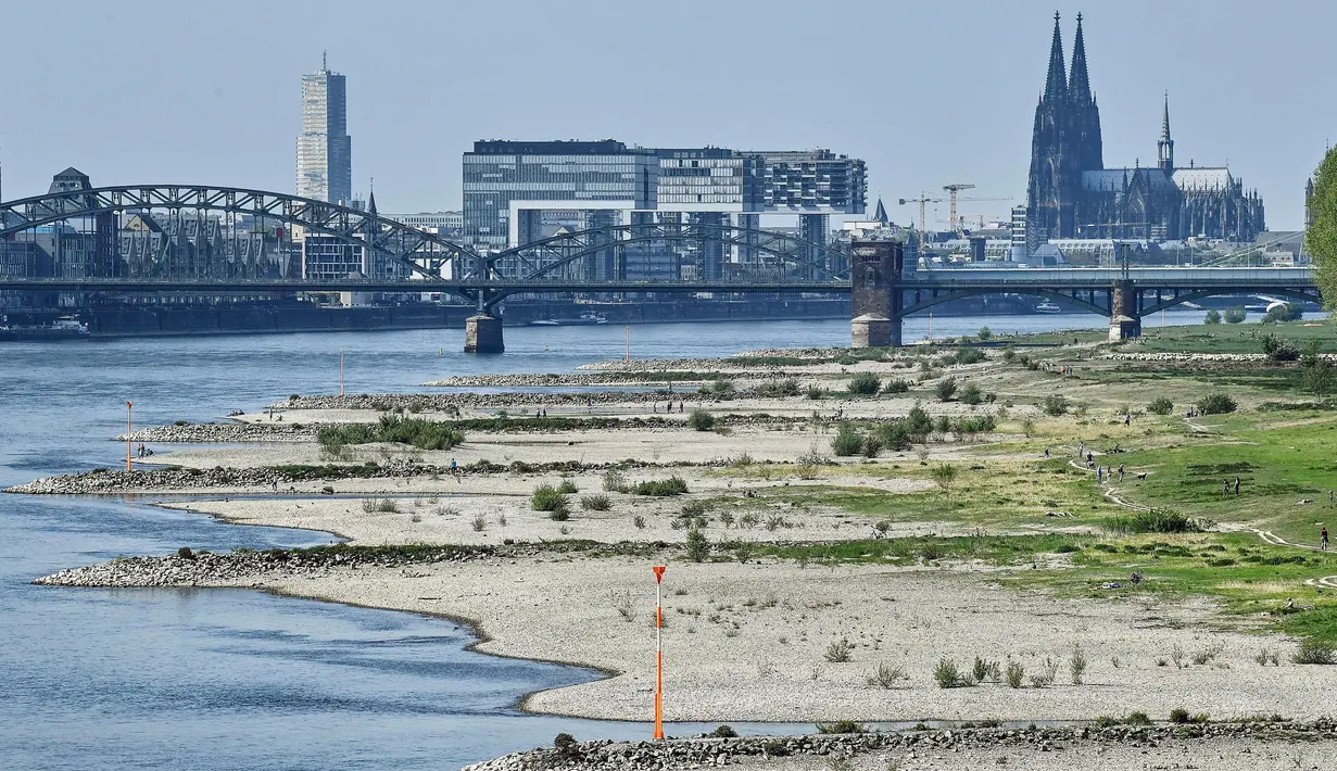 Penampakan tepian sungai mengering akibat kemarau panjang di sungai Rhine yang paling penting di Jerman, di Cologne pada 27 April 2020. April tahun ini adalah salah satu bulan terkering dan berimbas kepada petani dan industri. (AP/Martin Meissner)