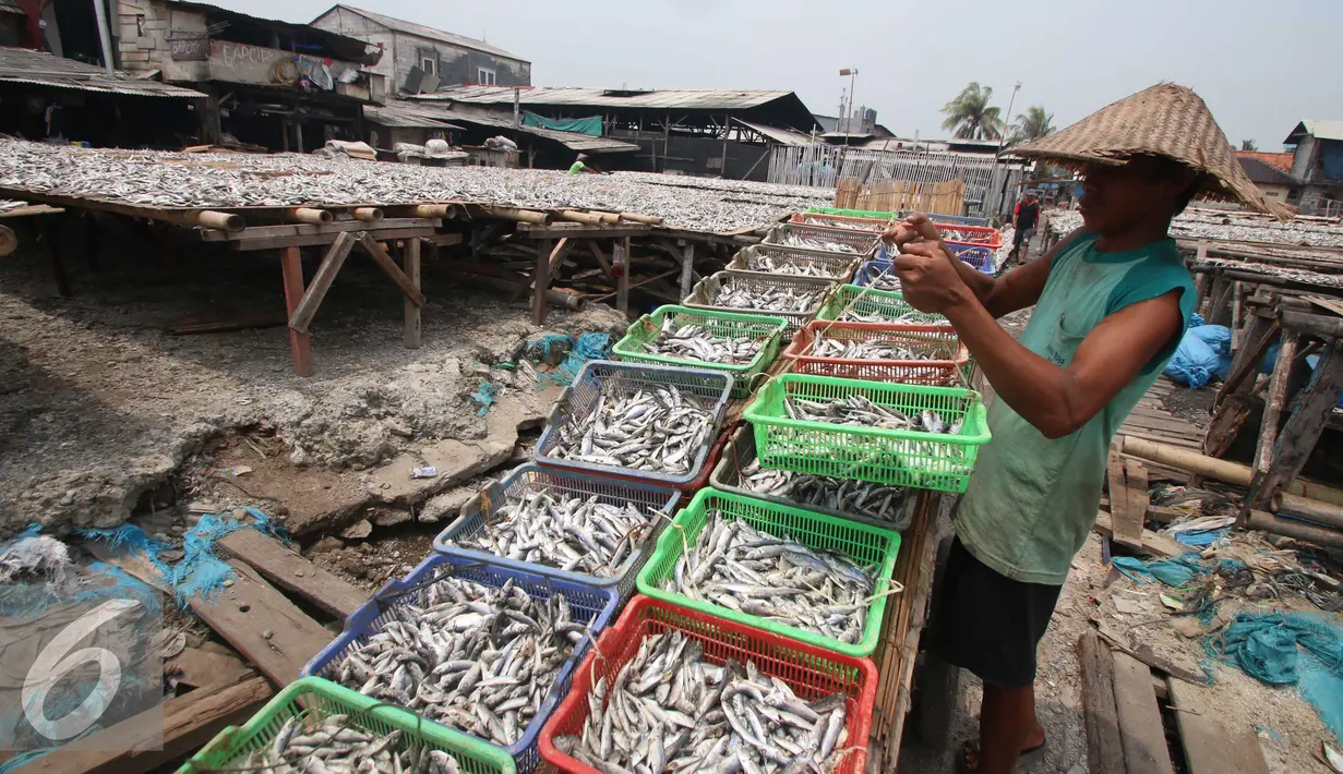 Ikan ditempatkan diwadah dijemur nelayan di Muara Angke, Jakarta, Selasa (17/1). Kadin Indonesia menginginkan perbankan bisa memperbesar fasilitas pembiayaan untuk investasi sektor kelautan dan perikanan di Indonesia. (Liputan6.com/Angga Yuniar)