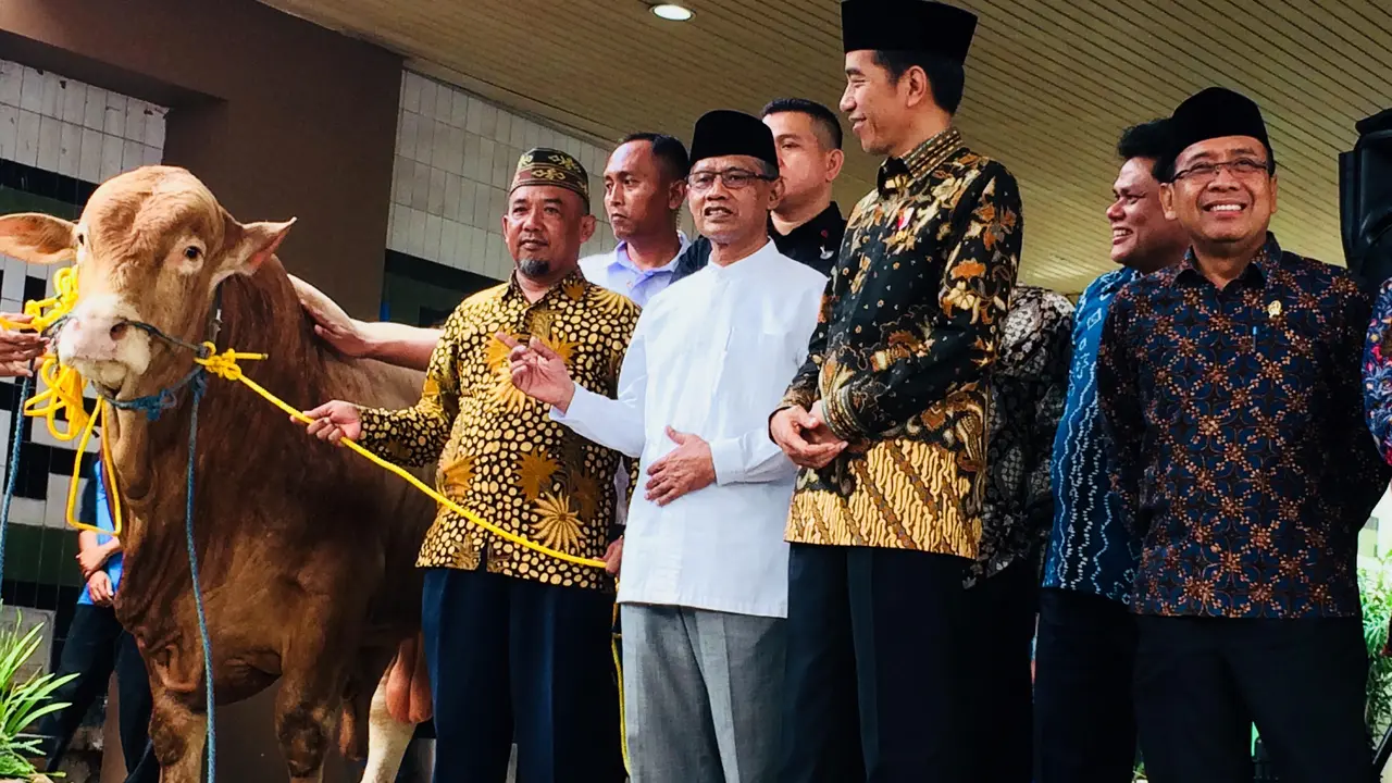 Presiden Jokowi memberikan sapi sebagai hewan kurban di PP Muhammadiyah.