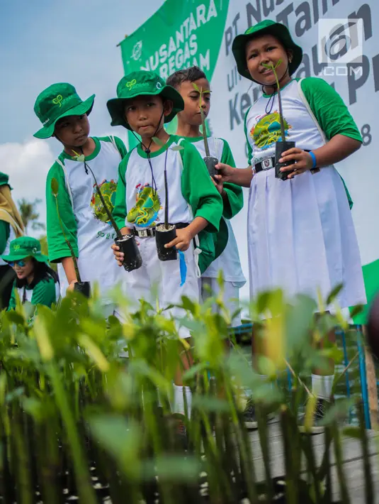 Anak-anak sekolah dasar memegang tanaman mangrove saat menanamnya di Area Labirin Pulau Pramuka, Kepulauan Seribu, Jakarta, Rabu (28/11). Kegiatan ini memperingati Hari menanam Pohon Indonesia (HMPI) yang jatuh  28 November. (Liputan6.com/Faizal Fanani)
