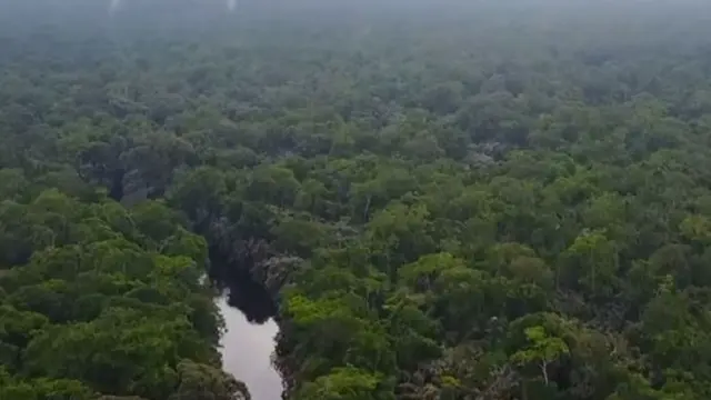 Taman Nasional Salonga
