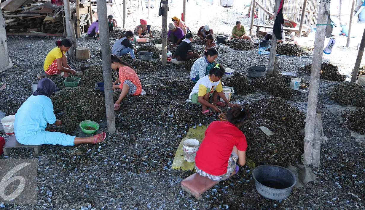 Sejumlah pekerja mengupas kulit kerang di pemukiman nelayan, Jakarta, Rabu (19/8). Kebanyakan buruh pengupas kulit kerang ini adalah pekerja serabutan dengan penghasilan 30 ribu perhari. (Liputan6.com/Angga Yuniar)