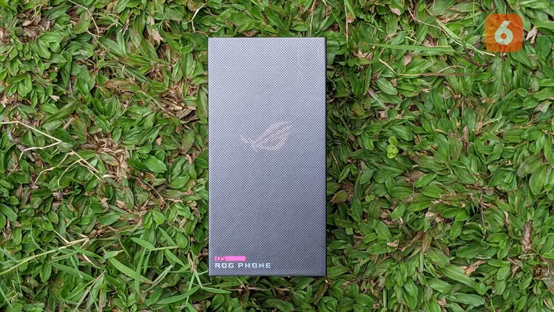 ROG Phone 5