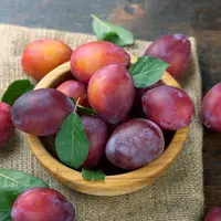 ilustrasi cara mengolah buah plum/Shyripa Alexandr/shutterstock